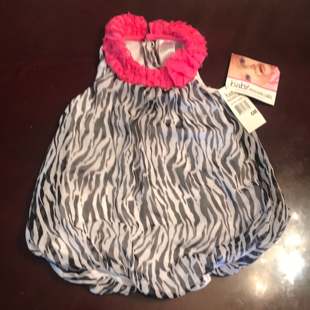 Zebra Fun
